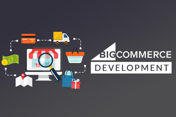 BigCommerce Website Services USA | Selecta Sol