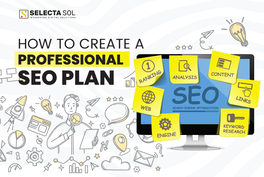 Professional SEO Plan